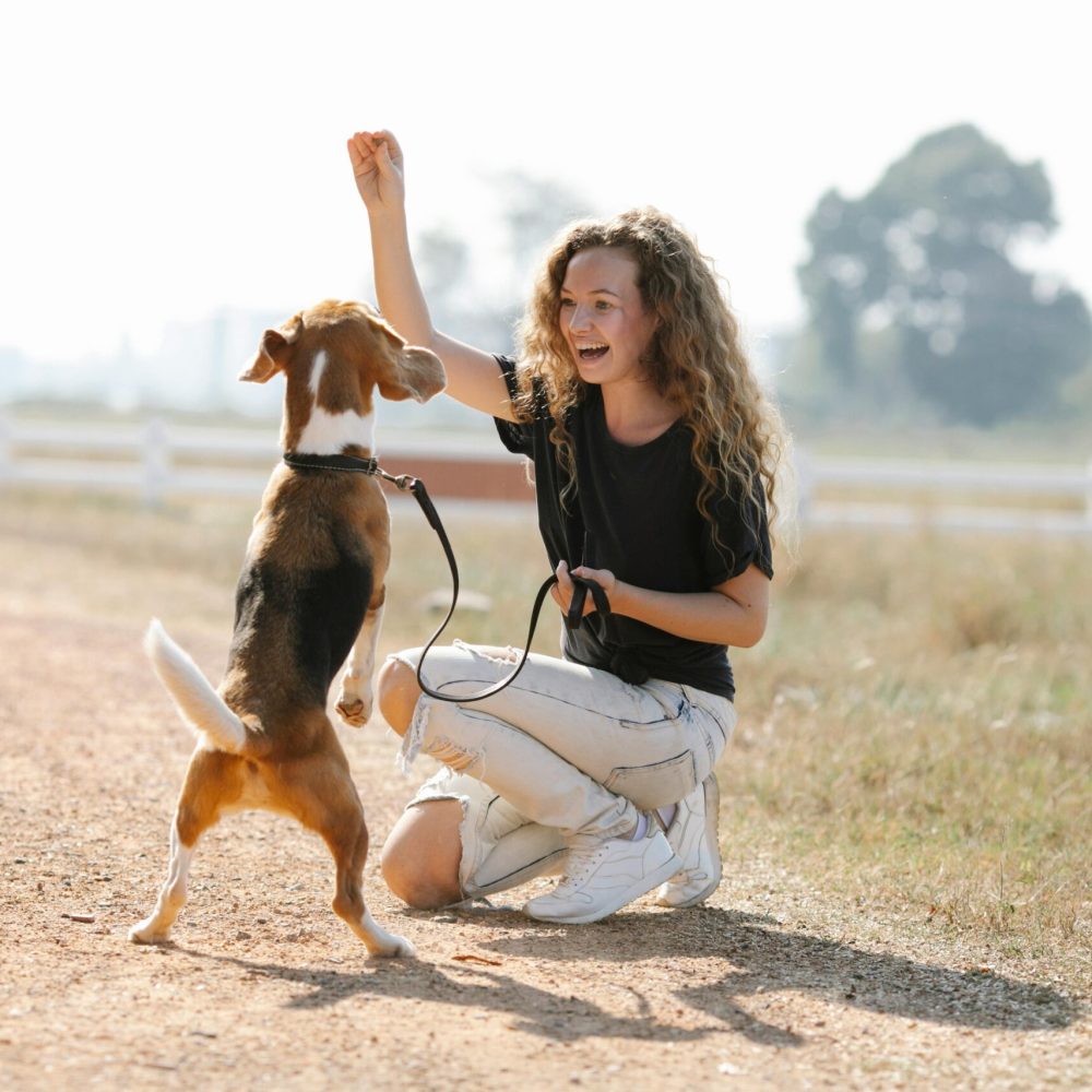 frau und hund trainieren, der hund steht auf seinen hinterbeinen